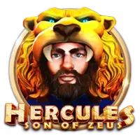 Card 237